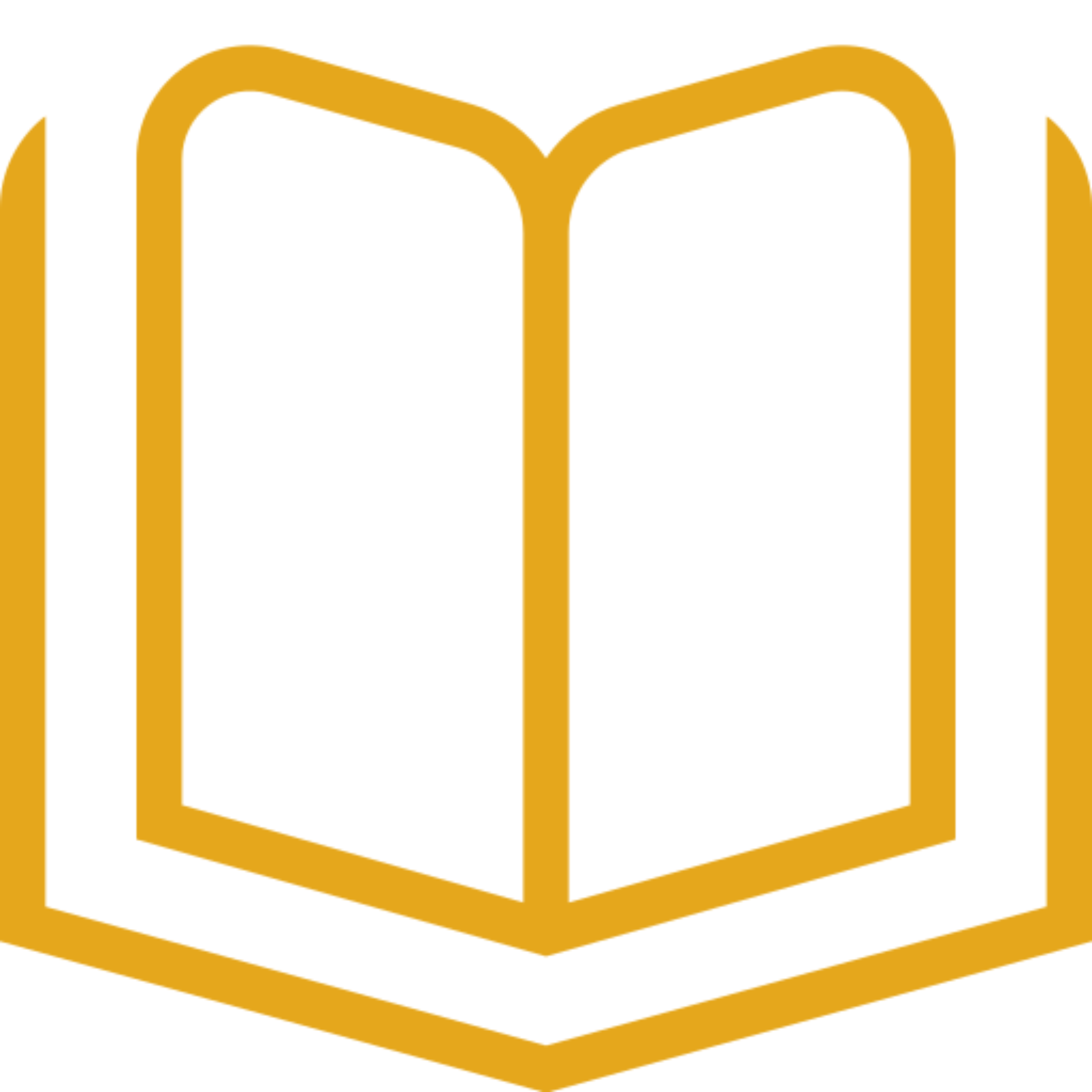 Personalized feedback and mentoring